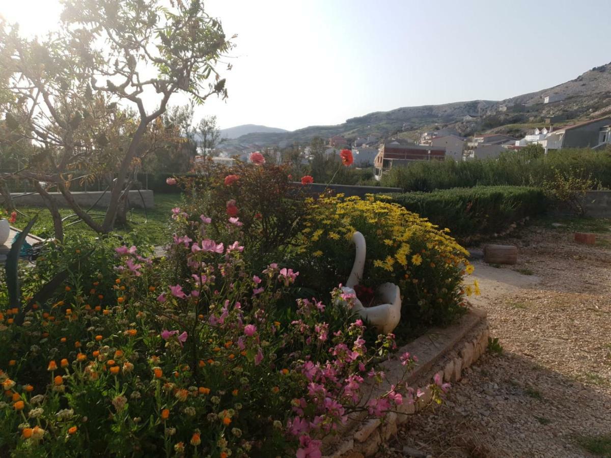 Apartmani Dalmatinka 메타이나 외부 사진